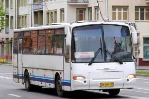 Из Брянска в Гомель пустили автобусы дважды в день