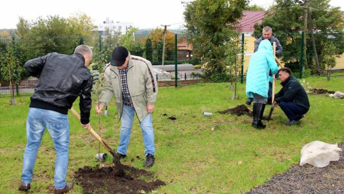 В Брянске в саду Победы высадили 21 саженец яблони