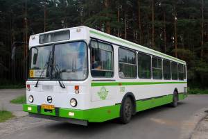 В Брянске на время паводка автобус №9 перестанет ходить до Радицы-Крыловки