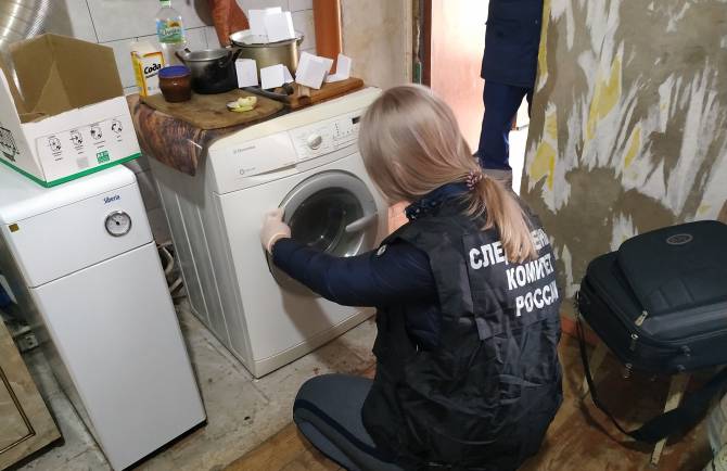 В Почепском районе пьяная женщина зарезала собутыльника