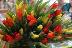 В Брянске к 8 Марта открылись цветочные ярмарки