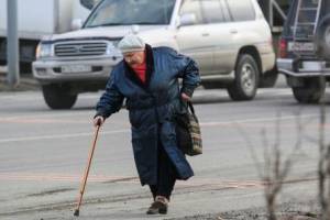 В Брянске устроят облавы на пешеходов-нарушителей