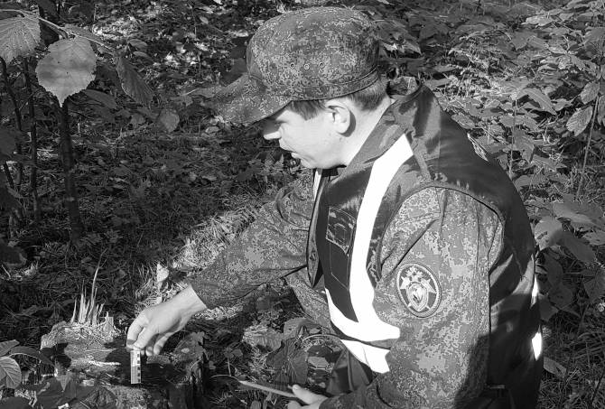 В Красногорском районе 18-летний парень убил спиленным деревом мужчину