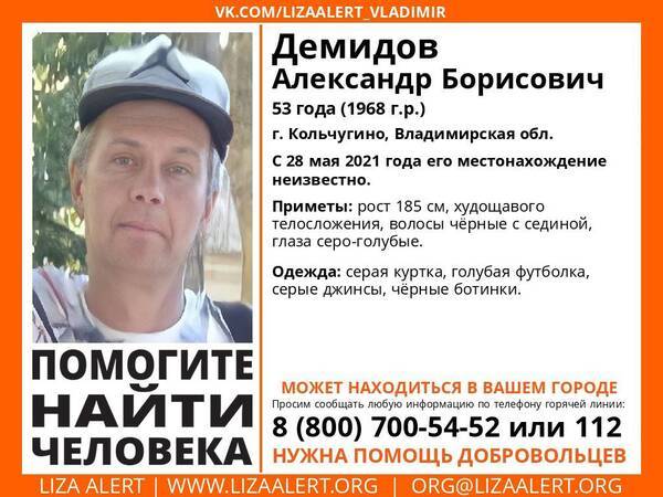 Брянцев просят помочь найти пропавшего мужчину из Владимирской области