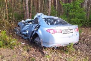 Под Брянском водитель легковушки протаранил дерево: двое ранены