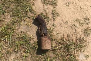 В Почепском районе нашли гранату времен войны
