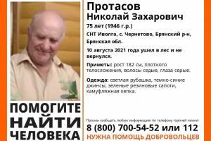 В Брянской области разыскивают 75-летнего Николая Протасова