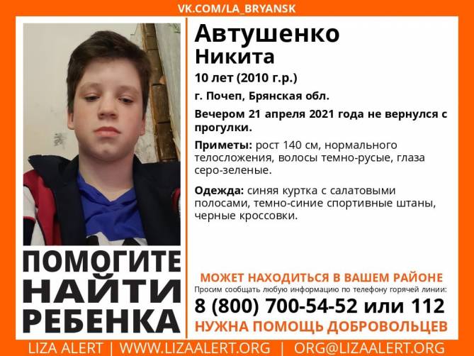 В Брянской области без вести пропал 10-летний Никита Автушенко