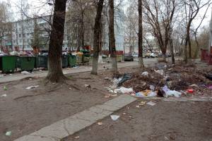 В Брянске больше года не могут убрать свинарник по улице Орловской