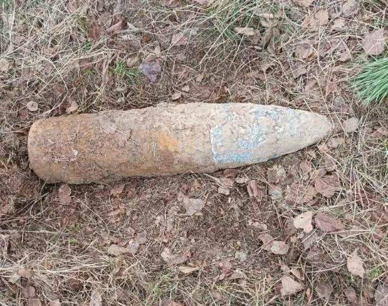 В лесу рядом с брянским поселком Сеща нашли артиллерийский снаряд