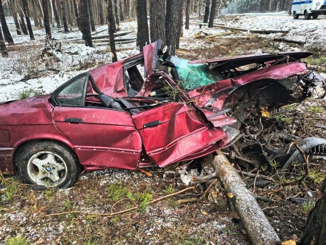 В Брянской области водитель BMW чудом выжил после наезда на дерево