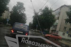 В Новозыбкове сломанная деревом электроопора зависла над дорогой