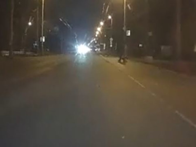В Брянске на Литейной сняли на видео бараноподобных пешеходов