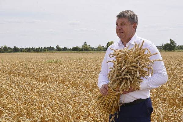Брянского губернатора Богомаза попросили оторваться от картошки