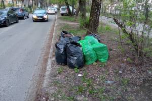 В Брянске забыли вывезти собранный на субботнике мусор