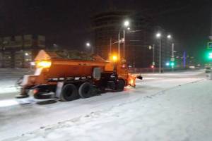 За два дня из Брянска вывезли 4800 тонн снега