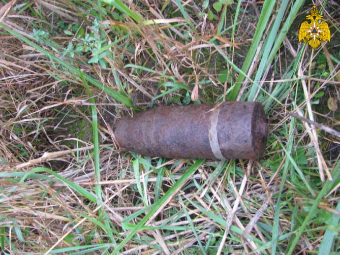 В поле возле поселка в Дубровском районе нашли артиллерийский снаряд 