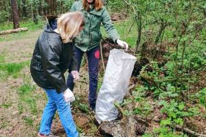 В Погаре активисты убрали мусор в лесу после отдыха «шашлычников»