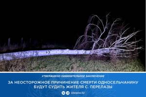 В Красногорском районе 18-летний парень свалил дерево на 75-летнего пенсионера