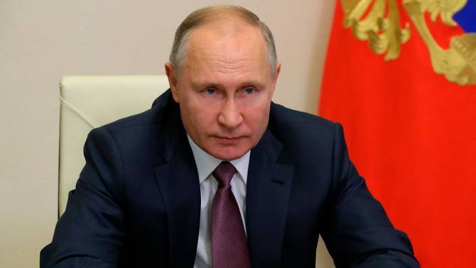 Путину пожаловались на незаконную вырубку леса в Клинцах