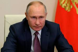 Путину пожаловались на незаконную вырубку леса в Клинцах