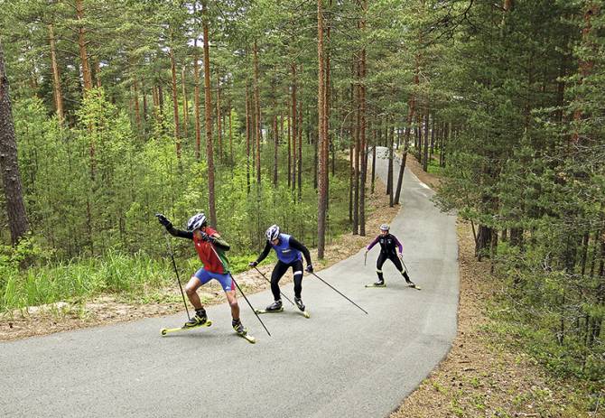В Брянской области появятся новые лыжероллерные трассы