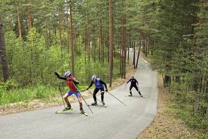В Брянской области появятся новые лыжероллерные трассы