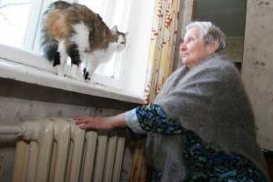 «Тепла мы не видели»: в Брянске замерзает 82-летняя пенсионерка