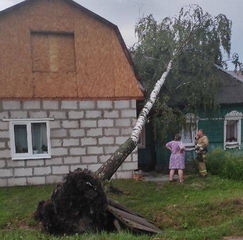 В Брянске на Володарке ураган повалил дерево на частный дом