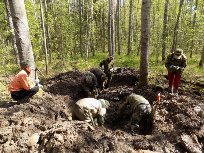 Под Новгородом поисковики нашли останки погибшего брянского солдата