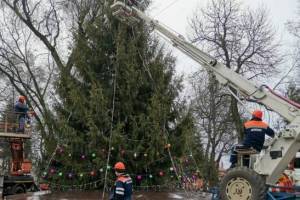 Брянск один из немногих не отказался от установки живых новогодних елей