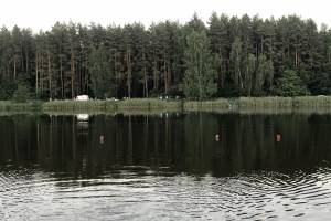 МЧС подтвердило гибель мужчины на озере в Локте