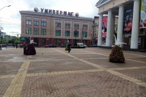 В Брянске на площади перед драмтеатром поселились цветочные балерины