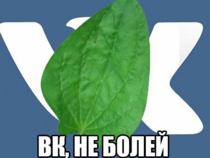 Брянские пользователи жалуются на проблемы в работе ВКонтакте