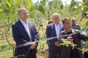 Губернатору Богомазу показали миллион яблонь предприятия «Брянский сад»
