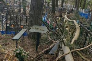 В Клинцах на кладбище рухнувшее дерево повредило несколько могил
