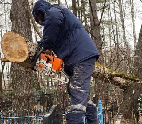 В Брянске на кладбищах началась уборка аварийных деревьев
