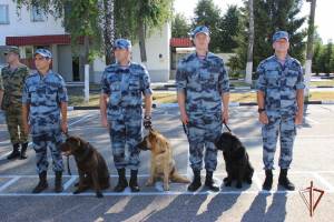 На Брянщине служебные собаки помогли кинологам найти 6 кг взрывчатки