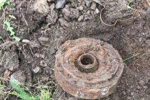 В Брасовском районе обезвредили 6 противопехотных мин