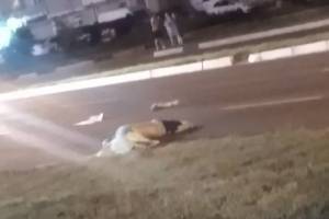 В ДТП на проспекте Московском в Брянске погиб 43-летний мужчина