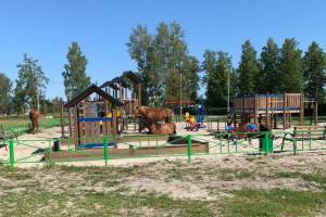 Лошади-вандалы атаковали детскую площадку в брянском посёлке