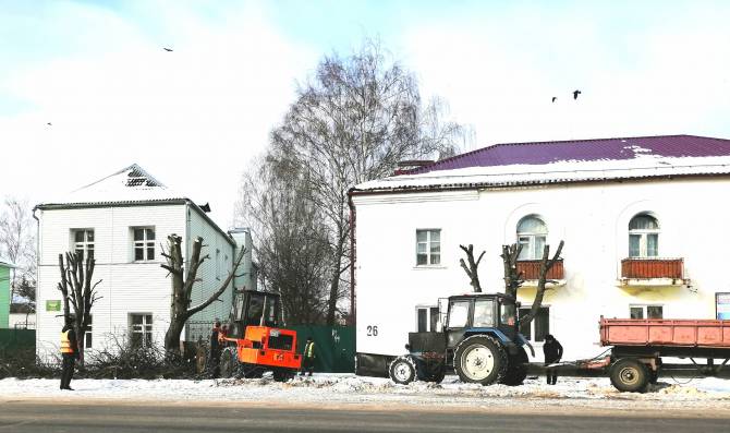 В центре Новозыбкова варварски обкромсали деревья 
