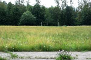 В брянском поселке Мирный чиновников заставили покосить траву на спортплощадках