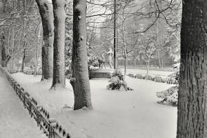 Брянцы восхитились фото зимней улицы Куйбышева из 1987 года