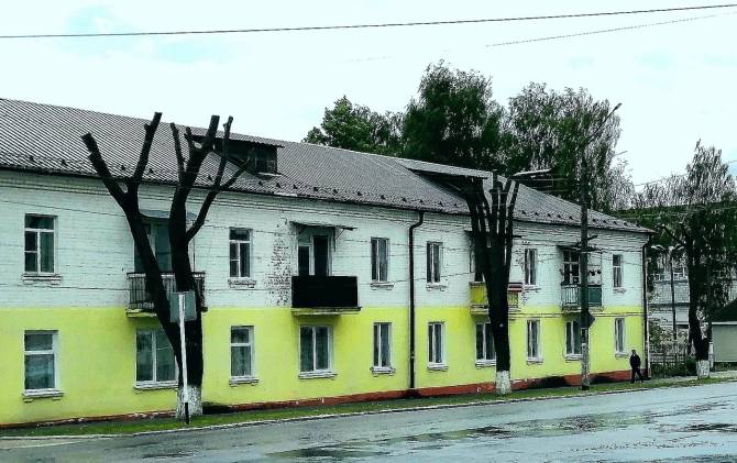 Лысые деревья в Новозыбкове напомнили людям фильмы ужасов