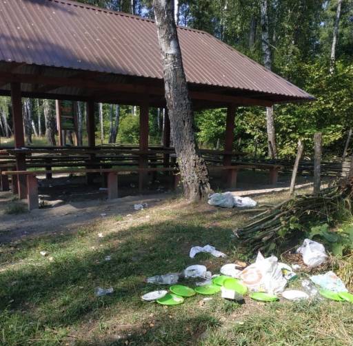 В Брасовском районе на кордоне лесника отдыхающие устроили свинарник