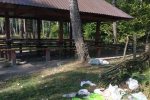 В Брасовском районе на кордоне лесника отдыхающие устроили свинарник