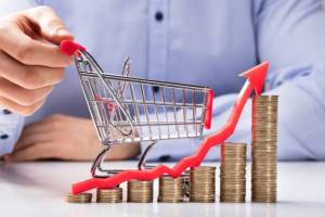 На Брянщине инфляция в августе снизилась до 16,3%