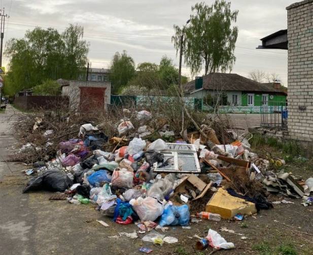 В Брянске жители Фокинки пожаловались на мусорный коллапс возле школы №35