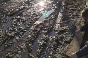 Районные центры Брянщины начали тотально тонуть в грязи